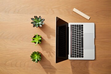 Laptop with succulents on wooden surface and ruler in the background, top view flatlay
