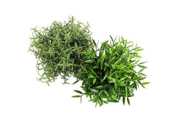 Artificial plants on white background