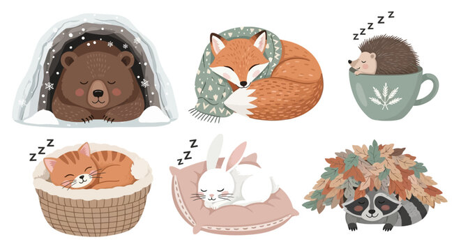 Cute animals sleeping: bear in cave, fox with scarf, hedgehog in cup, cat in basket, rabbit on pillow, raccoon with leaves.