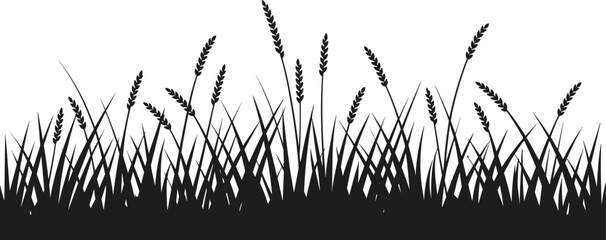 Black silhouette of wheat grass bed on white background 1