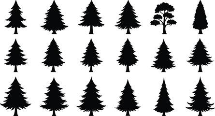 Black silhouette pine tree collection, evergreen forest vector set, coniferous tree icons, Christmas spruce shapes, nature design elements for illustration and decoration, isolated. © MstRajina