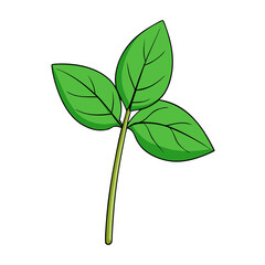 green leaf isolated on white