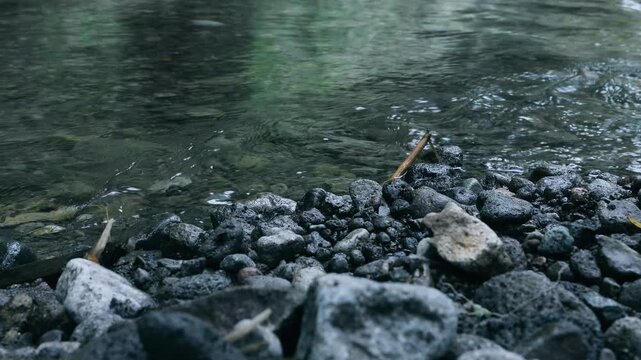 Clear stream water flows over dark rocky riverbed stones in a peaceful natural outdoor setting