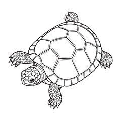 Obraz premium Baby turtle walking slowly coloring page