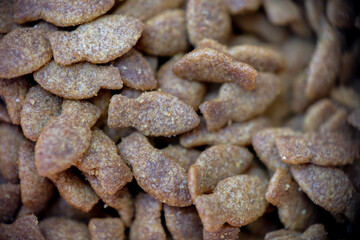 Macro photo of dry cat food