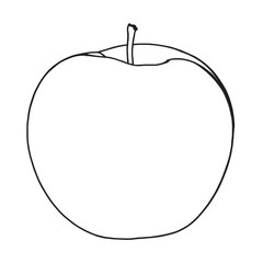 Simple Line Art Apple Outline Drawing sketch line art drawing illustration