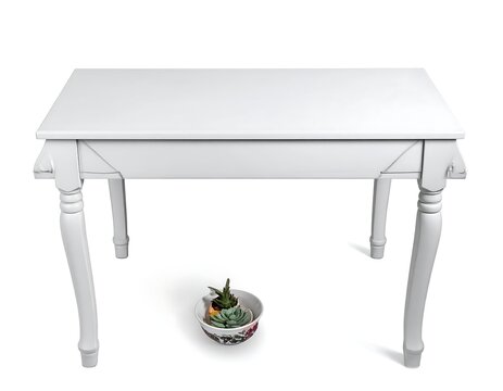 White, classical style table with ornate legs and a small potted succulent
