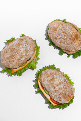 Meat and Salmon Sandwiches with Vegetables and Seeded Buns on White Background