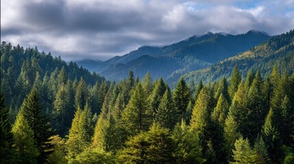Obraz premium Lush Green Forest Landscape with Majestic Mountains and Dramatic Sky at Dusk