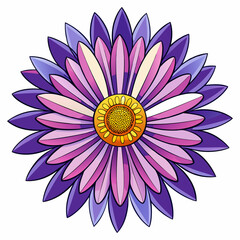 Fototapeta premium african daisy flower on white background