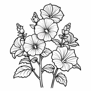 hollyhocks flower line art on white background