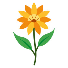 yellow flower isolated on white background