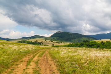 Beautiful mountain scenery with wavy wild grass fields in spring, in a wild area in Europe