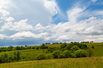 Beautiful mountain scenery with wavy wild grass fields in spring, in a wild area in Europe