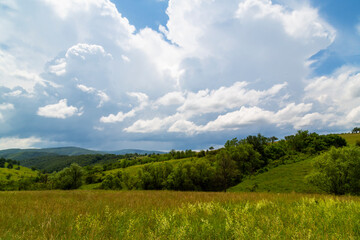 Beautiful mountain scenery with wavy wild grass fields in spring, in a wild area in Europe