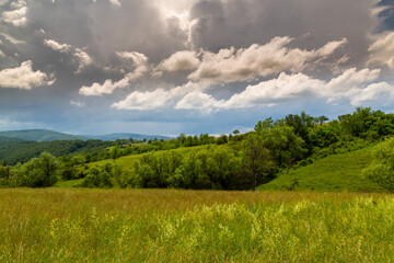 Beautiful mountain scenery with wavy wild grass fields in spring, in a wild area in Europe
