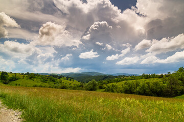 Beautiful mountain scenery with wavy wild grass fields in spring, in a wild area in Europe
