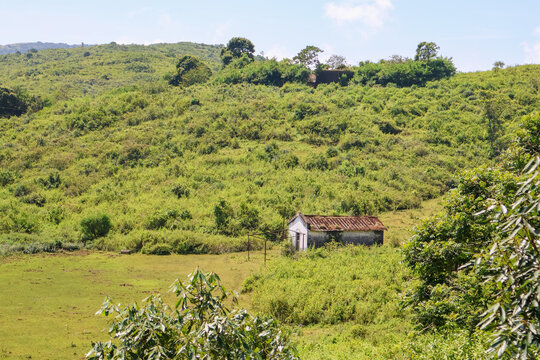A solitary rustic house stands nestled in rolling green hills, under the vast sky in Vagamon, Kerala&mdash;perfect for themes of peaceful solitude and rural landscape. Single house in a vast green grassland