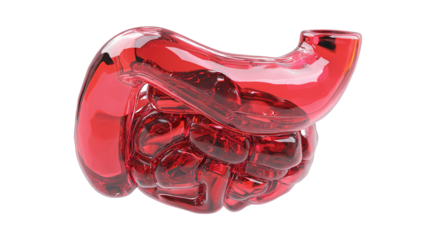 Human stomach anatomy 3d render icon in cartoon plastic style minimal isolated on transparent white background