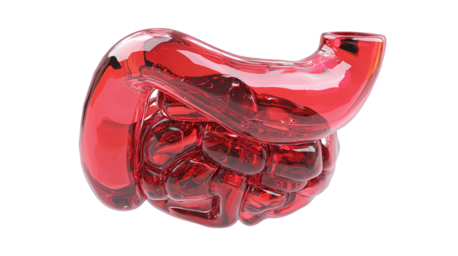 Human stomach anatomy 3d render icon in cartoon plastic style minimal isolated on transparent white background