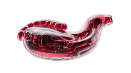 Human stomach anatomy 3d render icon in cartoon plastic style minimal isolated on transparent white background