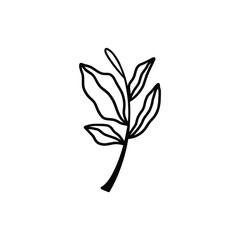 Hand drawn floral compositions in line art style. Elegant frame of flowers, stems and leaves. Trendy botanical elements. Vector illustration for logo or tattoo, save the date card, wedding invitation