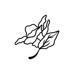 Hand drawn tattoo nature floral flowers, branches and leaves in line art style. Collection of sketches of botanical elements