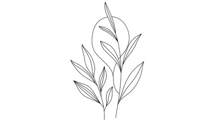 Obraz premium Delicate botanical line art illustration, minimal plant leaves and stems, simple black line drawing, modern floral design, organic shapes, contemporary botanical print, clean lines, illustration