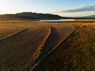 A paddock with lines of thick grass highlighted through the scene.