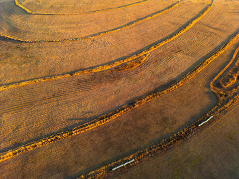 Patterns on the ground after machines have cut grass in a paddock