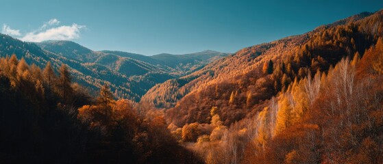 Autumn forest mountain landscape hills