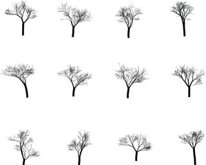 Obraz premium Collection of tree silhouettes in winter season minimal monochrome design vector illustration