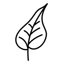 Hand-Drawn Leaf Drawing Doodle