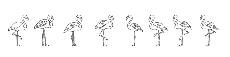 Editable flamingo line icon set – hand drawn outline, standing flamingo, minimal tropical bird illustration
