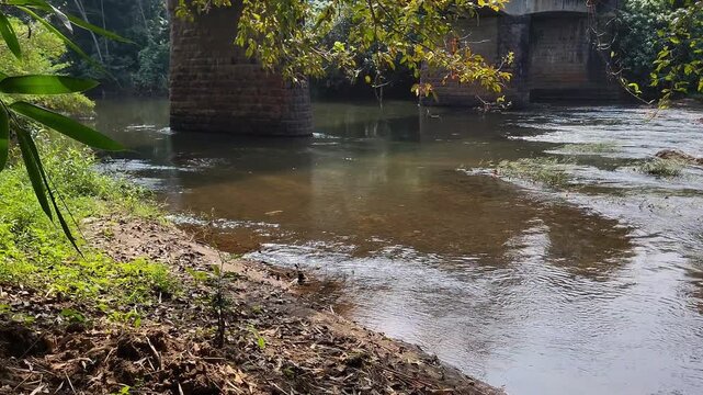 A rural stream flowing steadily between the concrete pillars of a village bridge, showcasing calm water movement in a natural countryside environment.