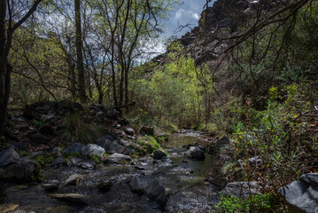 A tranquil view of Palancon stream in Bayarcal, Almeria, Spain, flowing through lush greenery and rocks under a partly cloudy sky