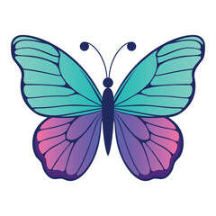 butterfly vector illustration