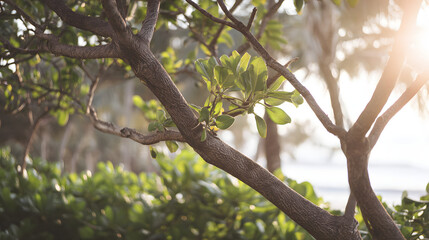 Obraz premium synchronized. Two tropical trees with intertwined branches sway gently in the breeze. safety posters, maintenance manuals, designed for industrial assembly lines and welding operations.