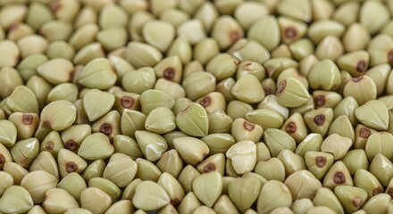 Fototapeta premium green cardamom pods