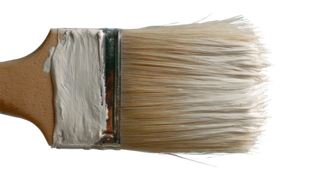 Close-up of paintbrush with light gray paint