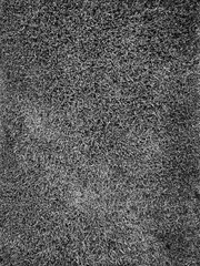 abstract monochrome texture of a dense, textured surface with a rough appearance