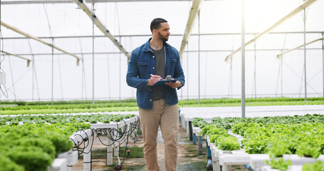 Man, agriculture and greenhouse with clipboard for inspection, harvest or food production. Male...