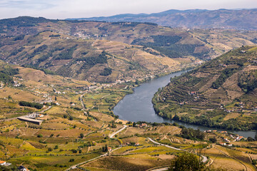 View of the Douro Valley and its famous vineyards
