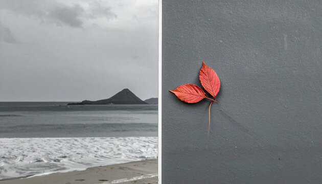 Coastal scene with a mountain and vibrant red leaves on a dark surface.