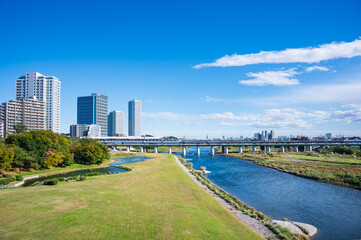 Fototapeta premium 新二子橋から見た兵庫島公園の緑豊かな河川敷風景