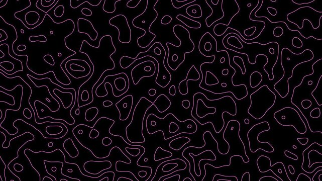 Topographic Map Animated Background light pink glow color transparent background. Elegant seamless vintage decoration art illustration design for wallpaper fabric texture, 4k animation video