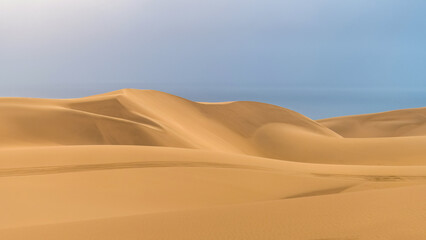 Le Désert Du Namib rencontre l'Océan Atlantique en Namibie