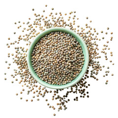 Small, light-tan seeds fill a light-teal bowl, surrounded by more seeds