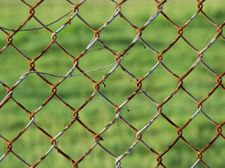 Naklejka premium rusty iron fence with old dry ranks of a plant in front of a fresh green meadow,