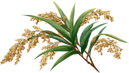 Close-up of a bunch of golden rice stalks with vibrant green leaves